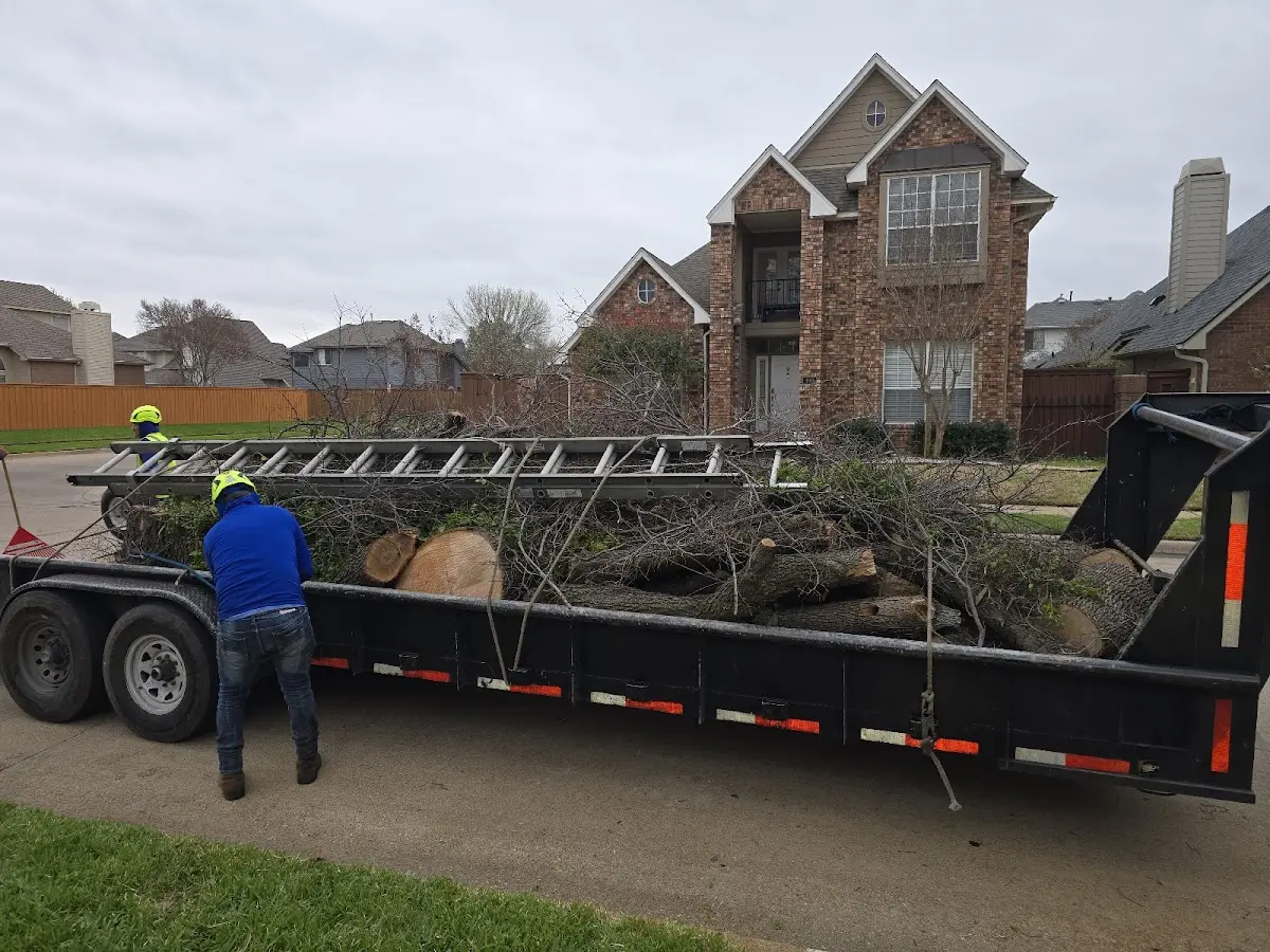 Expert Lot Clearing with proper safety equipment in Cold Spring Harbor